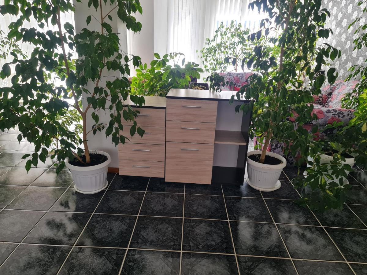 Hotel Rai Obrochishte Экстерьер фото